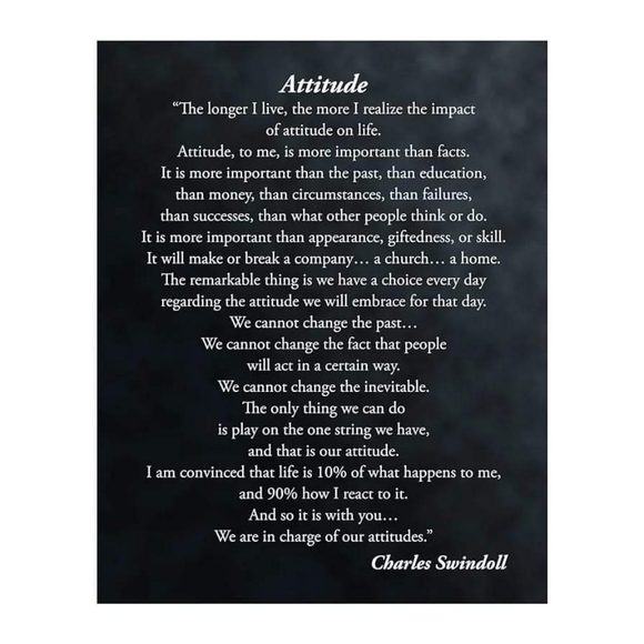 Meet your Posher, Dana - Picture 4 of 5